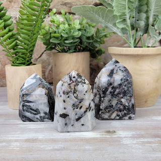 Black Tourmaline w/ Quartz Polished Pillars 2 to 5"-Pillars-Angelic Healing Crystals Wholesale