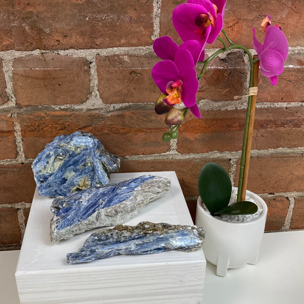 Kyanite Rough Specimen 4.01-5.9”-Rocks & Fossils-Angelic Healing Crystals Wholesale