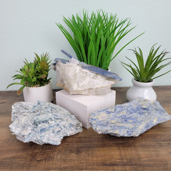 Kyanite Rough Specimen Specimen 6" to 7"-Specimen-Angelic Healing Crystals Wholesale