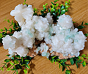 Apophyllite Cluster 1-3 Inch-Specimens-Angelic Healing Crystals Wholesale