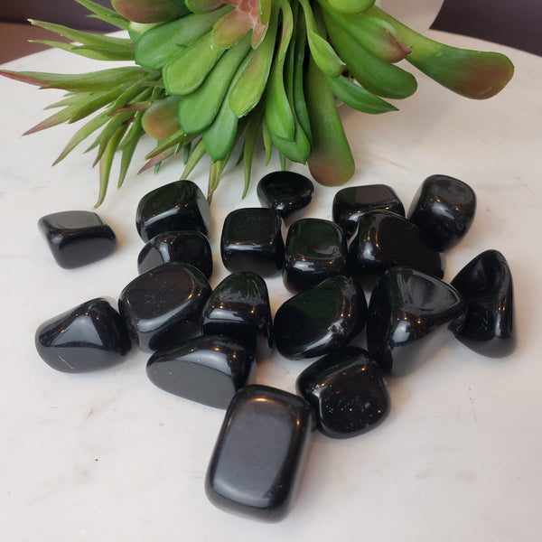 Black Obsidian Tumbled Stone 1-2"-Loose Stones-Angelic Healing Crystals Wholesale