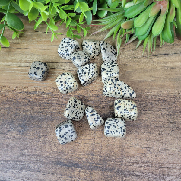 Dalmation Jasper 1-Inch-Loose Stones-Angelic Healing Crystals Wholesale