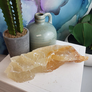 Golden Phantom Selenite Rough 4.01-9"-Rocks & Fossils-Angelic Healing Crystals Wholesale