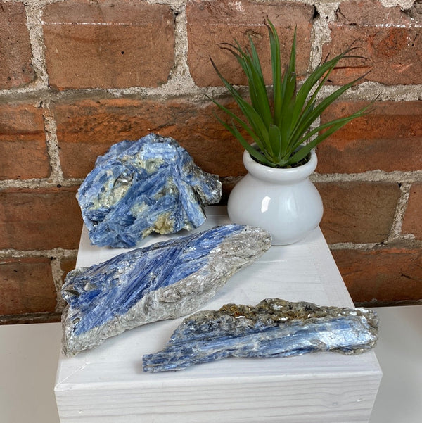 Kyanite Rough Specimen 4.01-5.9”-Rocks & Fossils-Angelic Healing Crystals Wholesale