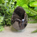 Septarian Dragon Egg 3-4.5" with Geode Center-Polished Eggs-Angelic Healing Crystals Wholesale